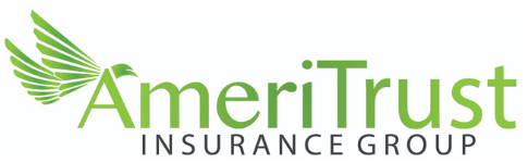 AmeriTrust Insurance Group - Professional Insurance Solutions
